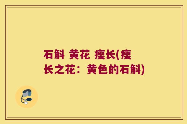 石斛 黄花 瘦长(瘦长之花：黄色的石斛)