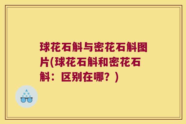 球花石斛与密花石斛图片(球花石斛和密花石斛:区别在哪?) 球花石斛与密花石斛图片(球花石斛和密花石斛:区别在哪?)