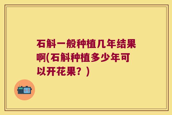 石斛一般种植几年结果啊(石斛种植多少年可以开花果？)
