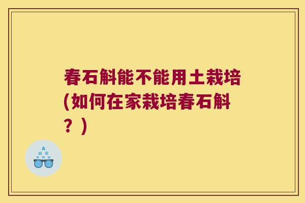 春石斛能不能用土栽培(如何在家栽培春石斛？)