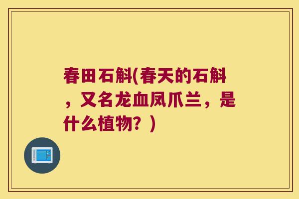 春田石斛(春天的石斛，又名龙血凤爪兰，是什么植物？)