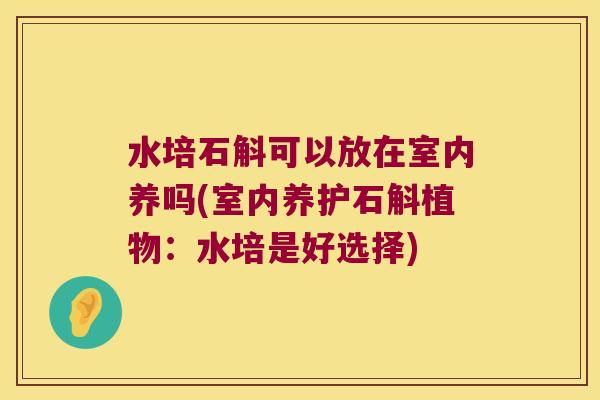 水培石斛可以放在室内养吗(室内养护石斛植物：水培是好选择)