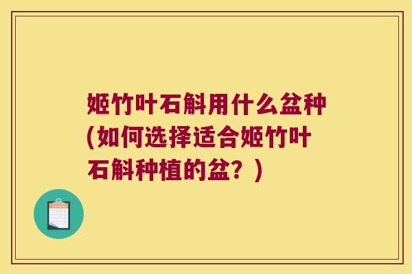 姬竹叶石斛用什么盆种(如何选择适合姬竹叶石斛种植的盆？)