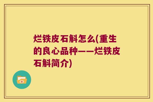 烂铁皮石斛怎么(重生的良心品种——烂铁皮石斛简介)