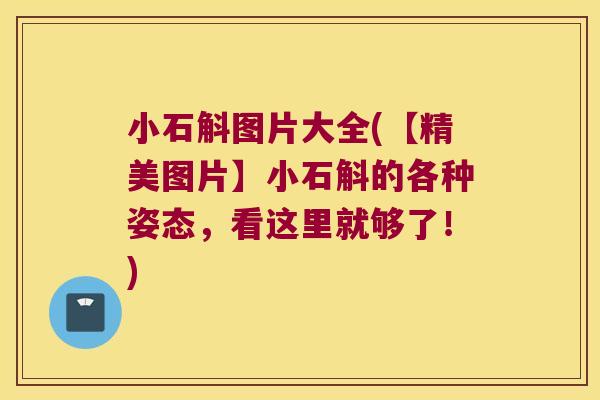 小石斛图片大全(【精美图片】小石斛的各种姿态，看这里就够了！)