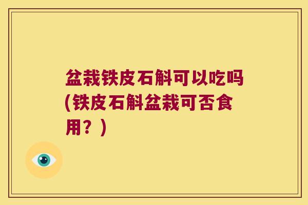 盆栽铁皮石斛可以吃吗(铁皮石斛盆栽可否食用？)
