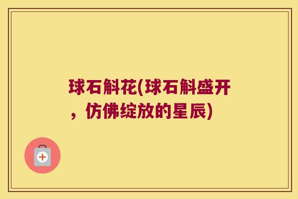 球石斛花(球石斛盛开，仿佛绽放的星辰)