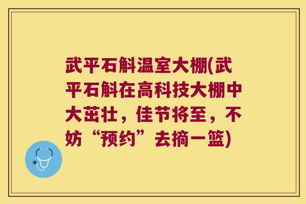 武平石斛温室大棚(武平石斛在高科技大棚中大茁壮，佳节将至，不妨“预约”去摘一篮)