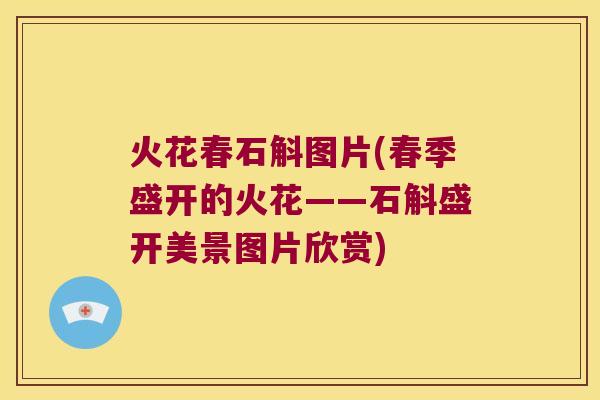 火花春石斛图片(春季盛开的火花——石斛盛开美景图片欣赏)