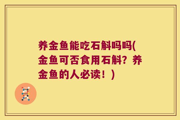 养金鱼能吃石斛吗吗(金鱼可否食用石斛？养金鱼的人必读！)