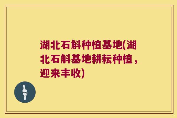 湖北石斛种植基地(湖北石斛基地耕耘种植,迎来丰收) 湖北石斛种植基地(湖北石斛基地耕耘种植,迎来丰收)