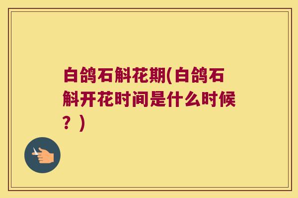 白鸽石斛花期(白鸽石斛开花时间是什么时候？)