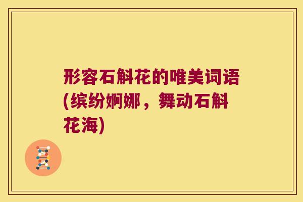 形容石斛花的唯美词语(缤纷婀娜，舞动石斛花海)