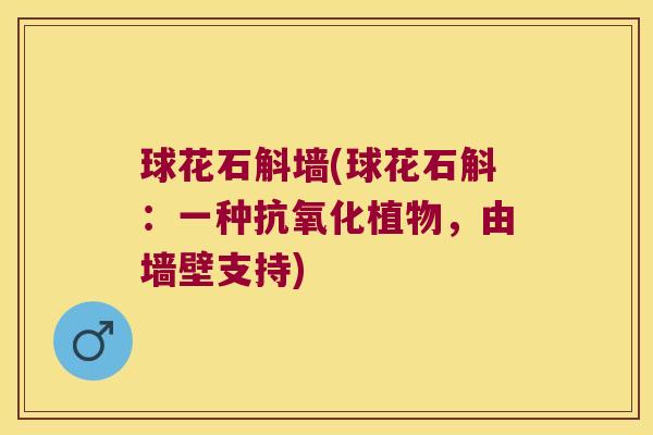 球花石斛墙(球花石斛：一种抗氧化植物，由墙壁支持)