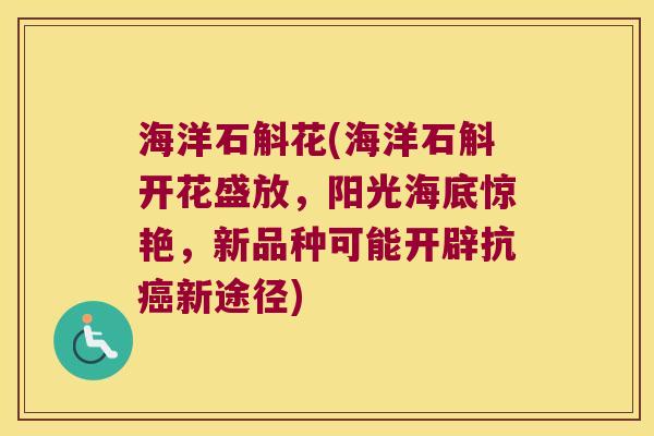 海洋石斛花(海洋石斛开花盛放，阳光海底惊艳，新品种可能开辟抗癌新途径)