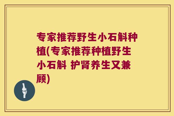 专家推荐野生小石斛种植(专家推荐种植野生小石斛 护肾养生又兼顾)