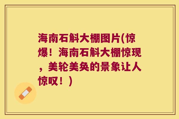 海南石斛大棚图片(惊爆！海南石斛大棚惊现，美轮美奂的景象让人惊叹！)