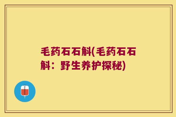 毛药石石斛(毛药石石斛：野生养护探秘)