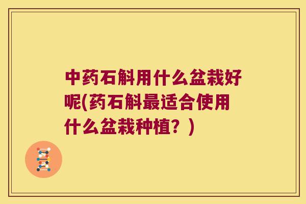 石斛用什么盆栽好呢(药石斛适合使用什么盆栽种植？)