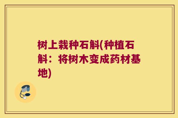树上栽种石斛(种植石斛:将树木变成药材基地) 树上栽种石斛(种植石斛:将树木变成药材基地)