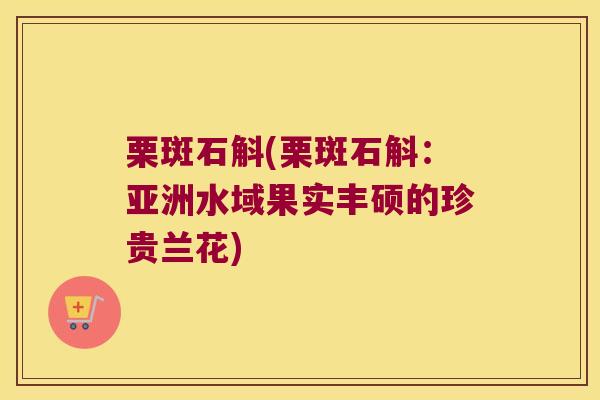 栗斑石斛(栗斑石斛：亚洲水域果实丰硕的珍贵兰花)