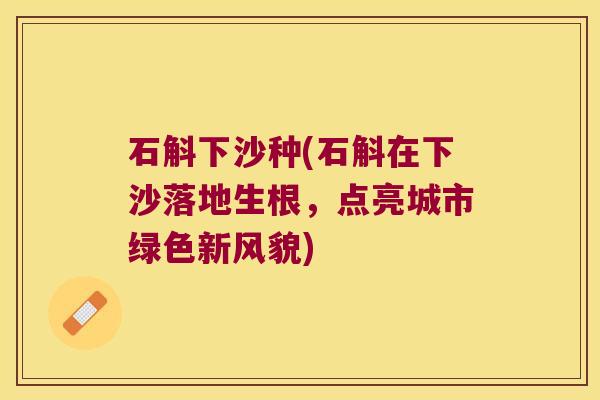 石斛下沙种(石斛在下沙落地生根，点亮城市绿色新风貌)