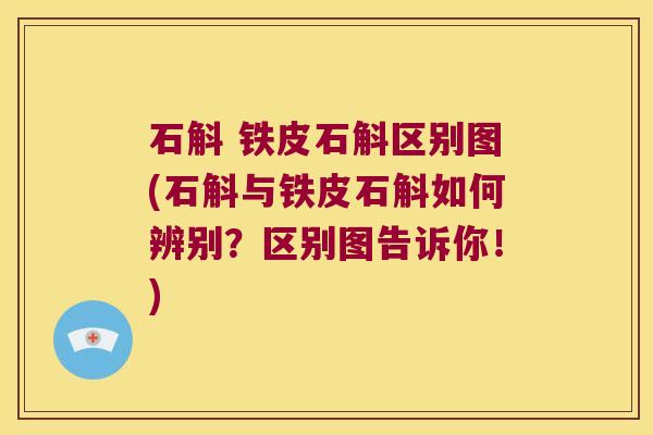 石斛 铁皮石斛区别图(石斛与铁皮石斛如何辨别?区别图告诉你!) 石斛 铁皮石斛区别图(石斛与铁皮石斛如何辨别?区别图告诉你!)