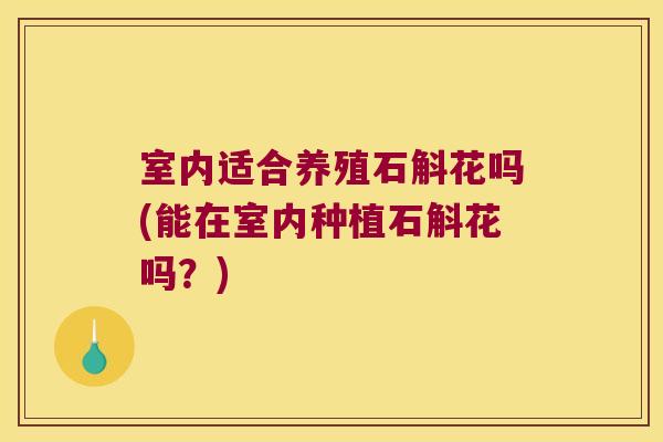 室内适合养殖石斛花吗(能在室内种植石斛花吗？)