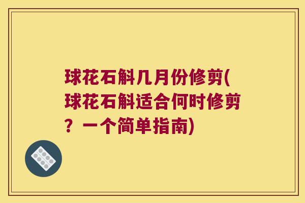 球花石斛几月份修剪(球花石斛适合何时修剪？一个简单指南)