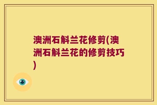 澳洲石斛兰花修剪(澳洲石斛兰花的修剪技巧)