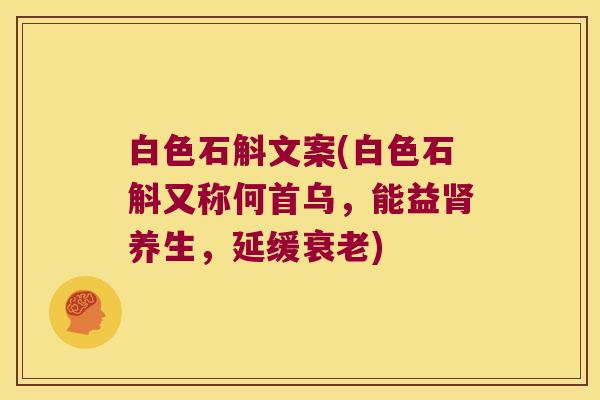 白色石斛文案(白色石斛又称何首乌，能益养生，延缓)