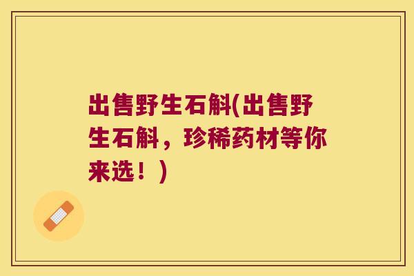 出售野生石斛(出售野生石斛，珍稀药材等你来选！)