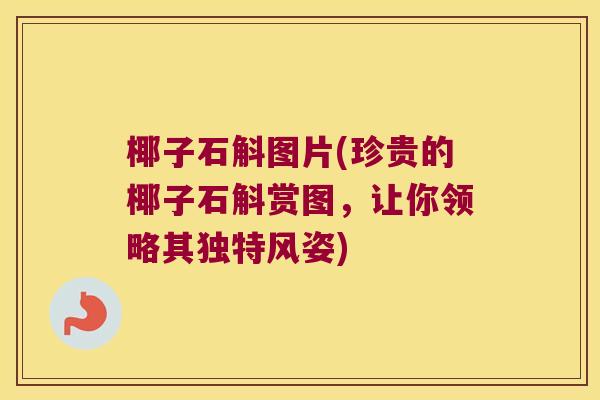 椰子石斛图片(珍贵的椰子石斛赏图，让你领略其独特风姿)