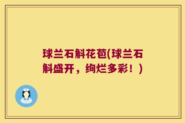 球兰石斛花苞(球兰石斛盛开,绚烂多彩!) 球兰石斛花苞(球兰石斛盛开,绚烂多彩!)