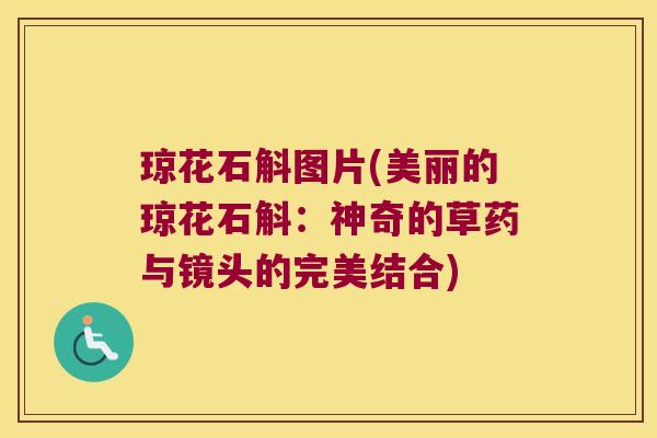 琼花石斛图片(美丽的琼花石斛：神奇的草药与镜头的完美结合)