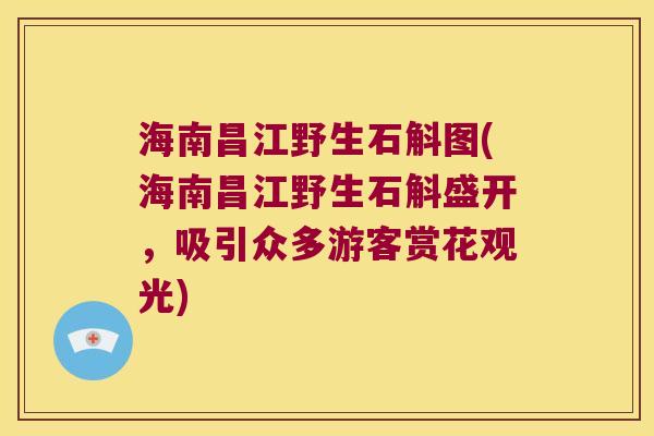 海南昌江野生石斛图(海南昌江野生石斛盛开，吸引众多游客赏花观光)