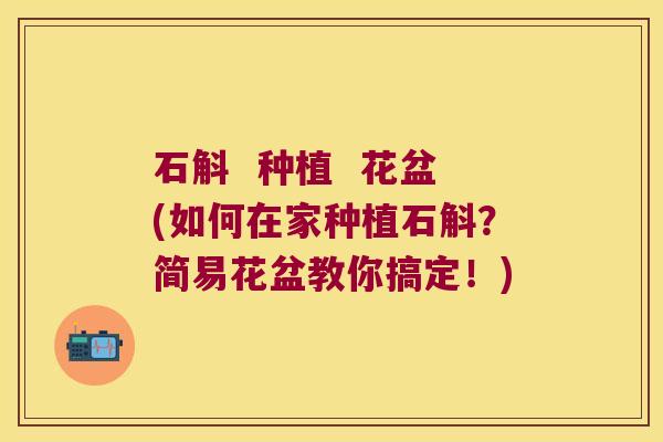 石斛 种植 花盆(如何在家种植石斛?简易花盆教你搞定!) 石斛 种植 花盆(如何在家种植石斛?简易花盆教你搞定!)