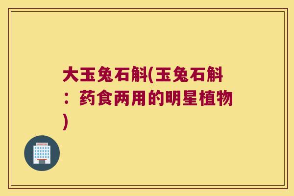 大玉兔石斛(玉兔石斛：药食两用的明星植物)