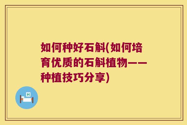 如何种好石斛(如何培育优质的石斛植物——种植技巧分享)
