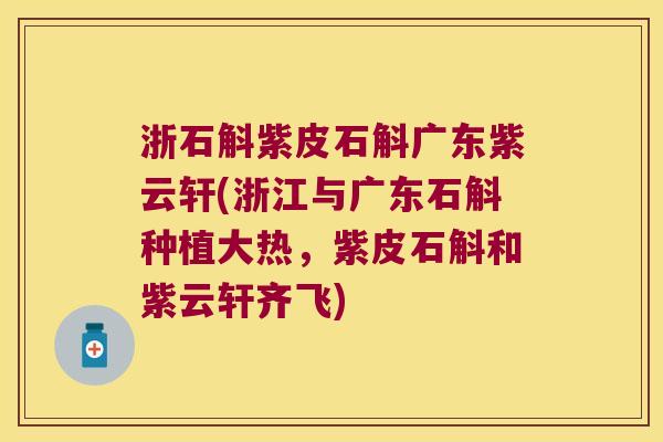浙石斛紫皮石斛广东紫云轩(浙江与广东石斛种植大热，紫皮石斛和紫云轩齐飞)