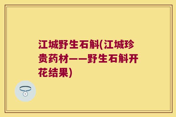 江城野生石斛(江城珍贵药材——野生石斛开花结果)