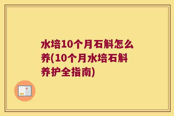 水培10个月石斛怎么养(10个月水培石斛养护全指南)