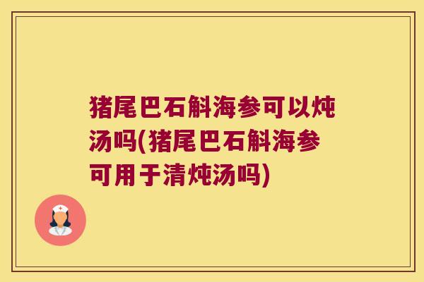 猪尾巴石斛海参可以炖汤吗(猪尾巴石斛海参可用于清炖汤吗)