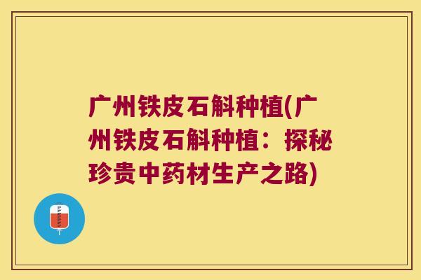广州铁皮石斛种植(广州铁皮石斛种植：探秘珍贵中药材生产之路)