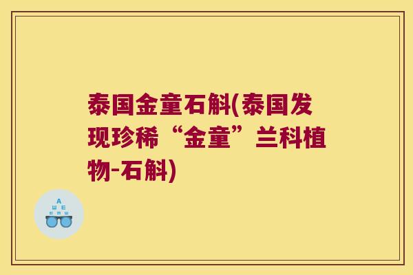 泰国金童石斛(泰国发现珍稀“金童”兰科植物-石斛)
