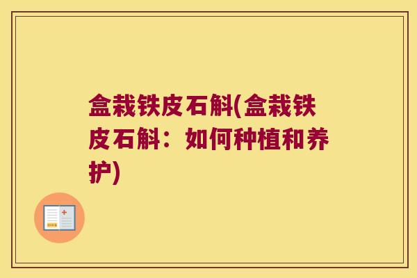 盒栽铁皮石斛(盒栽铁皮石斛：如何种植和养护)