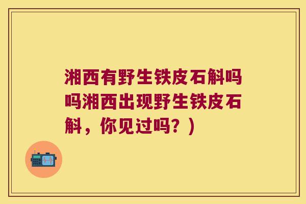 湘西有野生铁皮石斛吗吗湘西出现野生铁皮石斛，你见过吗？)