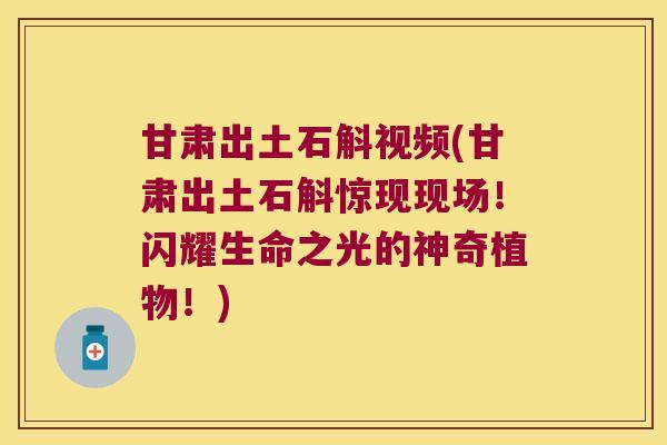 甘肃出土石斛视频(甘肃出土石斛惊现现场!闪耀生命之光的神奇植物!) 甘肃出土石斛视频(甘肃出土石斛惊现现场!闪耀生命之光的神奇植物!)