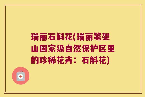 瑞丽石斛花(瑞丽笔架山国家级自然保护区里的珍稀花卉：石斛花)
