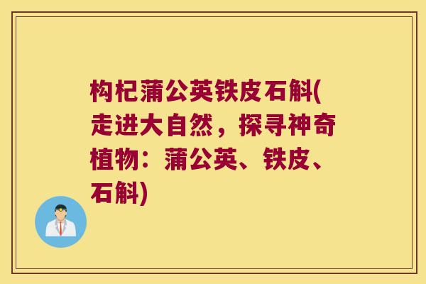 构杞蒲公英铁皮石斛(走进大自然，探寻神奇植物：蒲公英、铁皮、石斛)